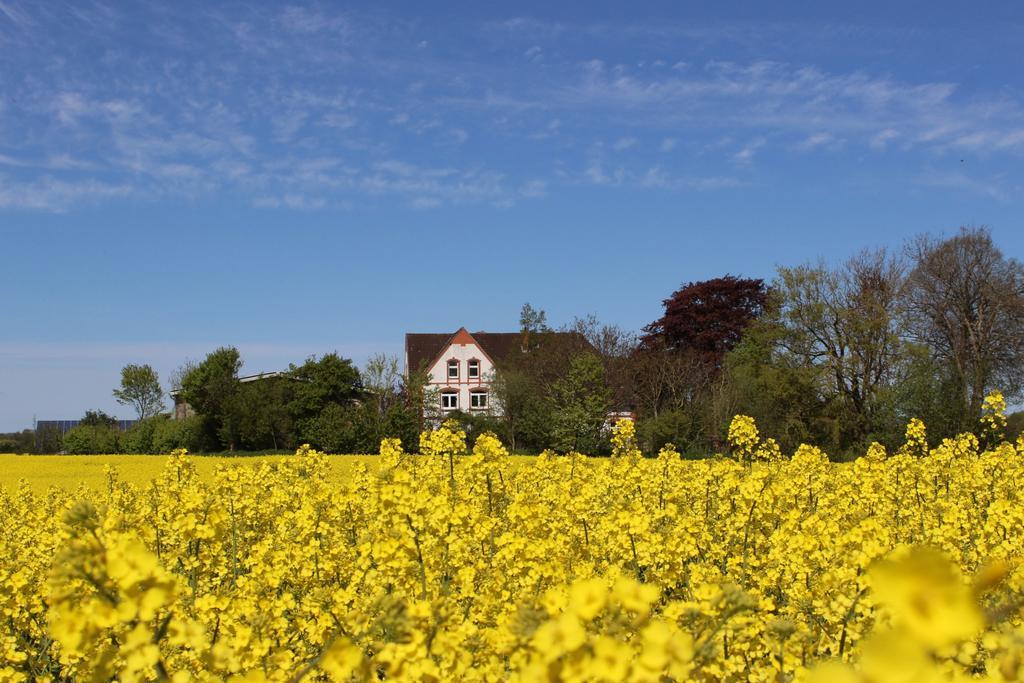 Апартаменты Hof Osterholz Loit Экстерьер фото